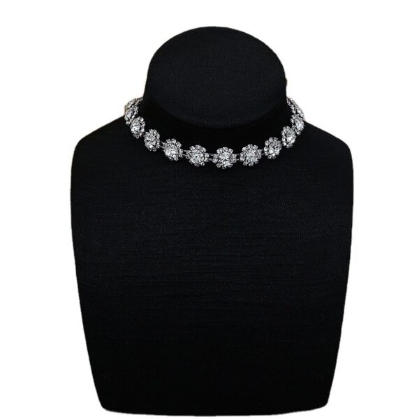 Fashion Necklace, Light Luxury, Niche Temperament, Elegant Collarbone Chain - Image 7
