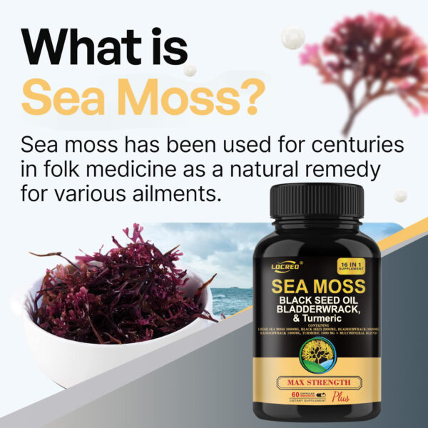 Black Seed Oil Bladder Wrack Turmeric 16-in-1 Supplements Joint Support Sea Moss Capsule - Image 4