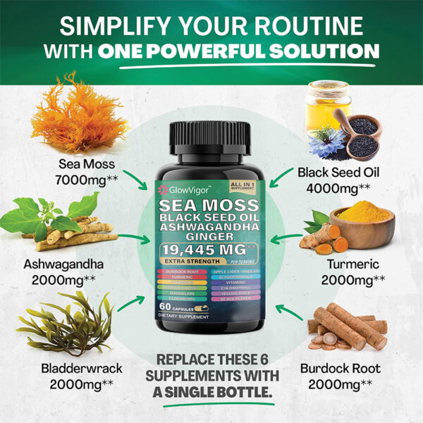 GlowVigor Sea Moss 7000mg Black Seed Oil 4000mg Ashwagandha 2000mg Turmeric 2000mg Bladderwrack 2000mg Burdock 2000mg & Ginger Vitamin C Vitamin D3 - Image 4