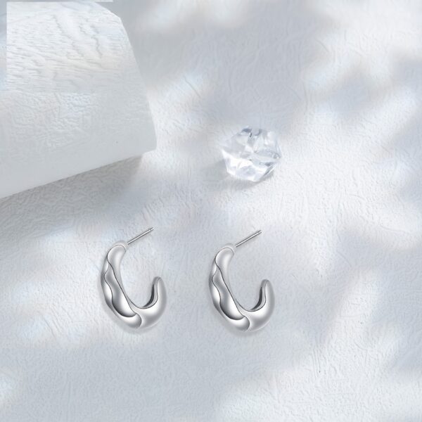 Niche Advanced European And American Style Ear Ring Simple Design Earrings For Women - Image 4