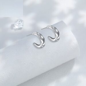 Niche Advanced European And American Style Ear Ring Simple Design Earrings For Women
