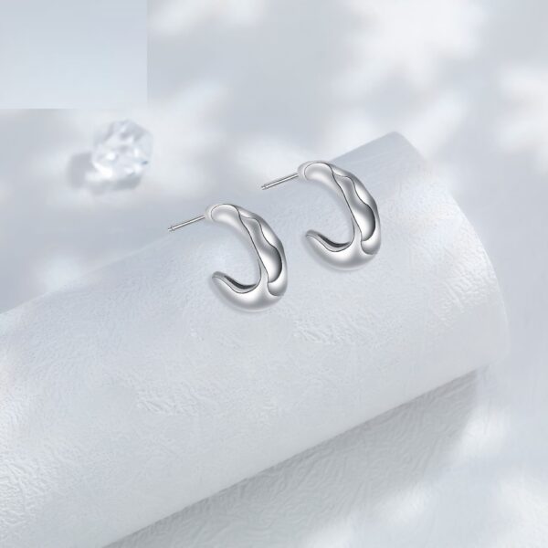 Niche Advanced European And American Style Ear Ring Simple Design Earrings For Women