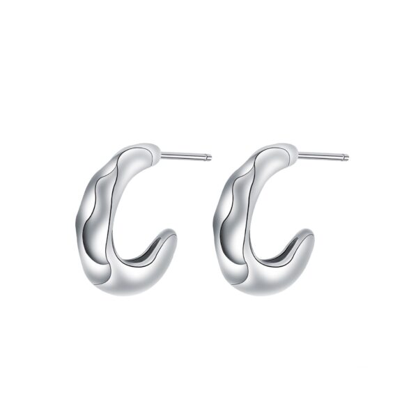 Niche Advanced European And American Style Ear Ring Simple Design Earrings For Women - Image 2